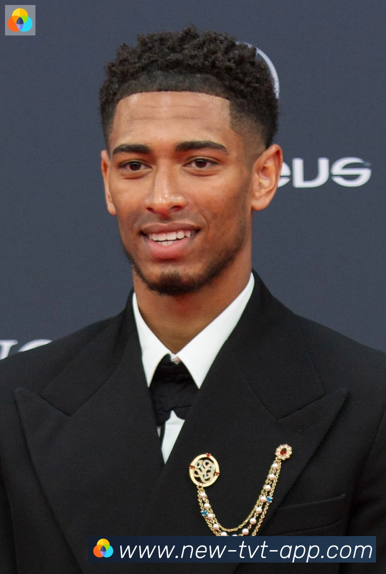 维尼修斯
